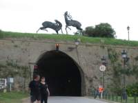 Photo Number 10