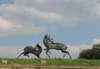 Photo Number 11