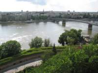 Photo Number 12