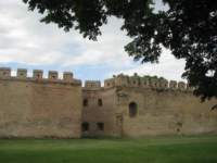 Photo Number 5