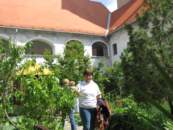 Photo Number 13