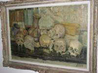Photo Number 15