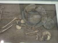 Photo Number 14