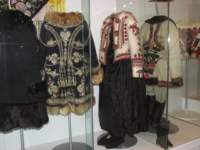 Photo Number 7